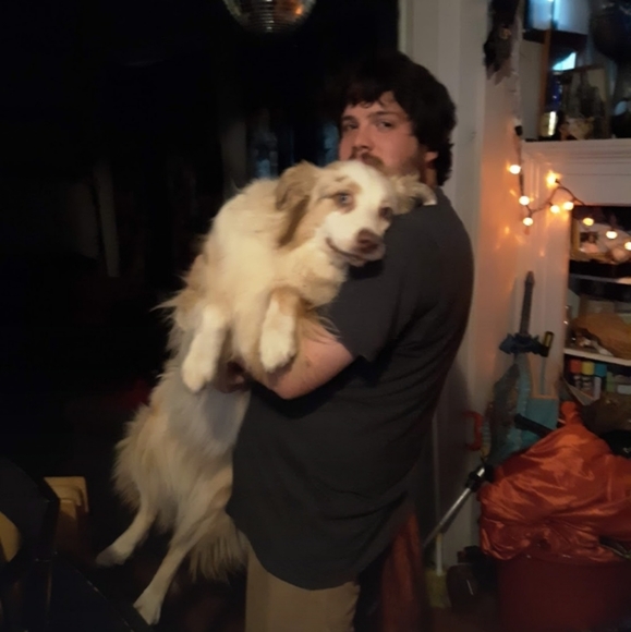 Please help Cosmo, aka "Big Happy"  my red Merle aussie has cancer 😭🥺 - Picture 5 of 17